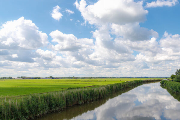 Een landschap met een grote wolkenlucht, knipoog naar dg DIALOG Web